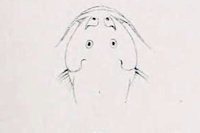 Bild 3: Astroblepus marmoratus