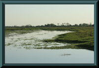 Bild 1: Pantanal
