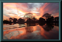 Bild 4: Pantanal