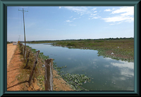 Bild 5: Pantanal - an der Transpantaneira