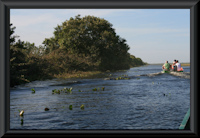 foto 3: Llanos