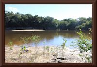Bild 4: río Manapiare