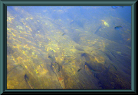 Bild 4: rio da Casca