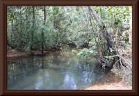 foto 2: río Cristal