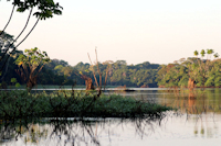 Bild 9: lago Janauaca