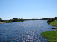Bild 1: río Guaporé / río Iténez - Rio Guaporé bei Pontes e Lacerda (Brasilien)