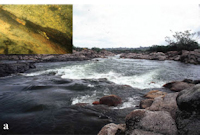 Bild 9: rio Xingu - Volta Grande