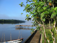 Bild 1: Approuague River - Bei Régina