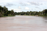 Pic. 1: paraná do Carapanatuba