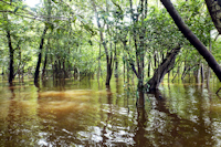 foto 4: lago Uará