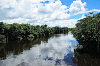 Pic. 2: rio Jutaí