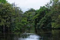 Pic. 4: rio Tonantins