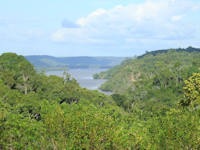 Bild 1: rio Jari - Rio Jari near Monte Dourado, Almeirim, Pará
