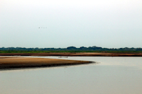 Bild 5: río Mamoré