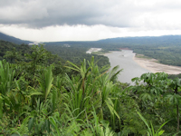 рис. 1: río Alto Madre de Dios - A view of The Jungle Ultra Long Stage - 90km of extreme terrain