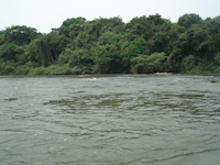 foto 1: rio Teles Pires / rio São Manoel / rio São Manuel - Itauba, Mato Grosso