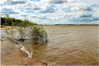 foto 2: río Uruguay / rio Uruguai