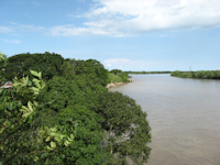 рис. 1: río Meta - Río Meta bei Cabuyaro
