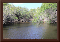 Bild 2: Caño bei Cucurital