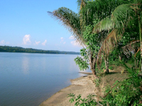 рис. 1: Marowijne River / Maroni River - Maroni River, view from French Guiana to Suriname