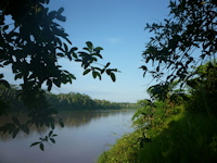 Pic. 1: rio Purus / río Purús - Río Purus in Peru