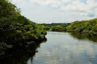 Pic. 6: igarapé Preto