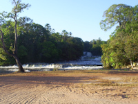 рис. 1: rio Curuá - Cachoeira mais alta do conjunto Salto do Curuá,antes do ínicio da construção das PHC