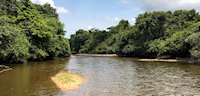Pic. 2: igarapé Bacajaí