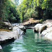 Bild 1: río Güejar - aproximadamente a 12 km del casco urbano del municipio de Lejanías