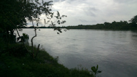 Bild 1: río Casanare - bri Puerto Rondon