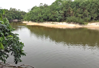 foto 1: rio Ipixuna - 07°30’37”S 63°20’23”W, rio Ipixuna