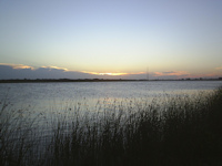 Bild 1: canal São Gonçalo - Margem do Canal São Gonçalo- Pelotas