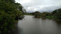 рис. 2: río Pilcomayo - Río Pilcomayo hacia desembocadura desde Puente San Ignacio