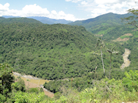 Bild 1: río Zamora - Zusammenfluss río Namangoza (unten) mit río Zamora (oben) zum río Santiago (links)