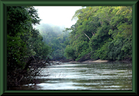 Bild 2: río Yarapa