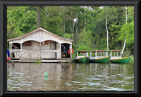 рис. 1: lago Janauari / lake Hyanuary