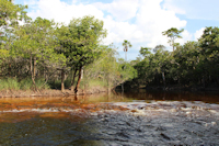 Pic. 2: igarapé do Cachoeira Grande