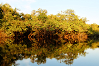 рис. 5: igarapé do Cachoeira Grande