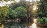 Bild 1: Kukui River - bei Philipai