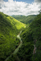 foto 2: rio Salobra - Vista do cânion do rio Salobra, na fazenda Boca da Onça, em Bonito