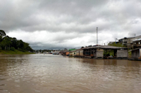 Pic. 1: paraná Arara / paraná do Amanã