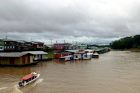 Pic. 2: paraná Arara / paraná do Amanã