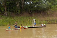 foto 3: paraná Arara / paraná do Amanã