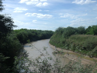 рис. 1: río Salado del Norte / río Juramento / río Pasaje - El río Salado desde el puente en Suncho Corral hacia el Norte