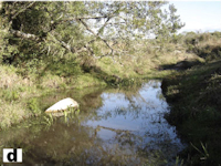 рис. 1: arroio das Lavras - Zufluss bei Lavras do Sul