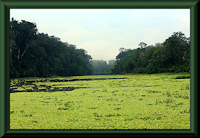 foto 1: laguna de Saquena