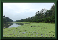 foto 2: laguna de Saquena