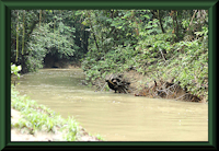 Bild 1: río Sucusari