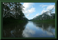 foto 1: caño de Yarina