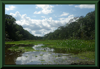 foto 1: laguna de Yarina